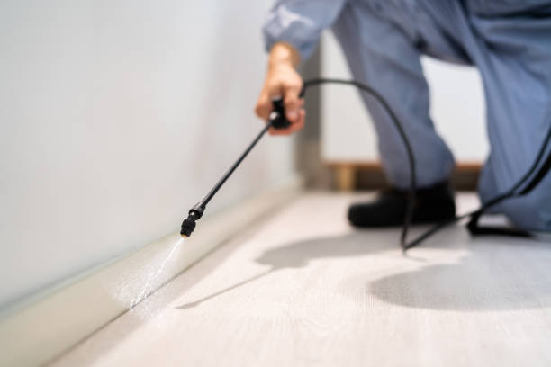 Professional exterminator conducting IPM assessment in Kentwood